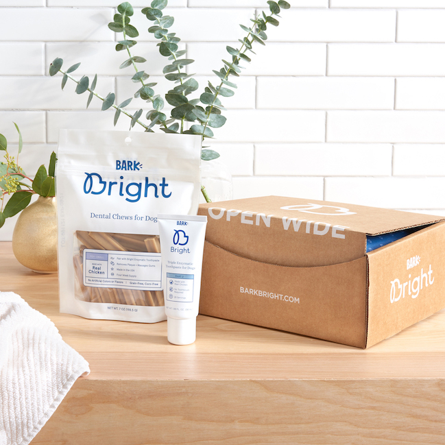 bark bright enzymatic toothpaste