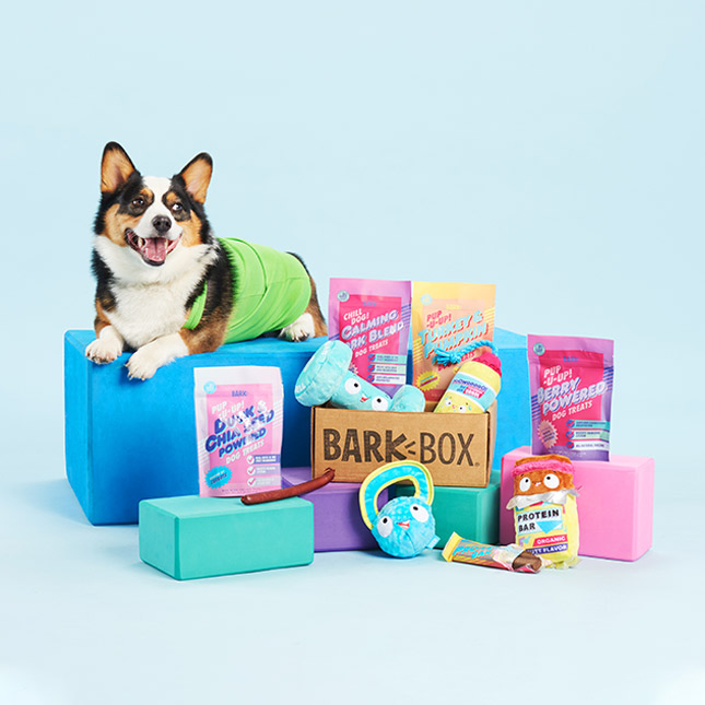 barkbox with dog