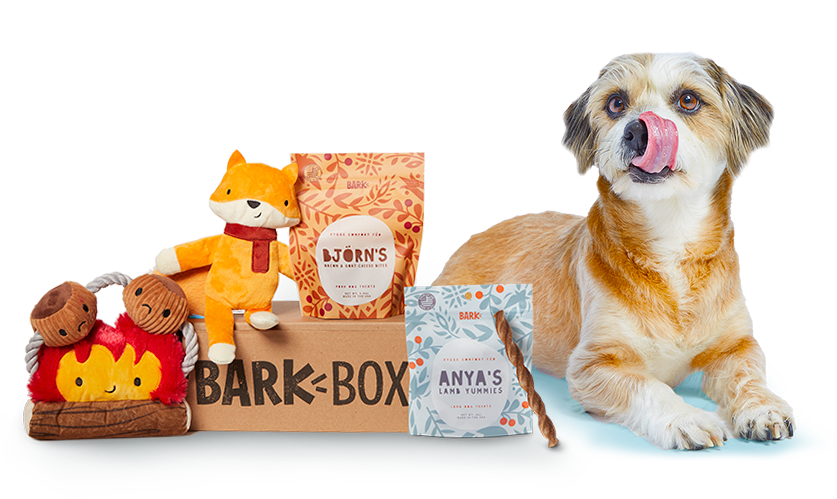 Dog with Hygge BarkBox and Toys