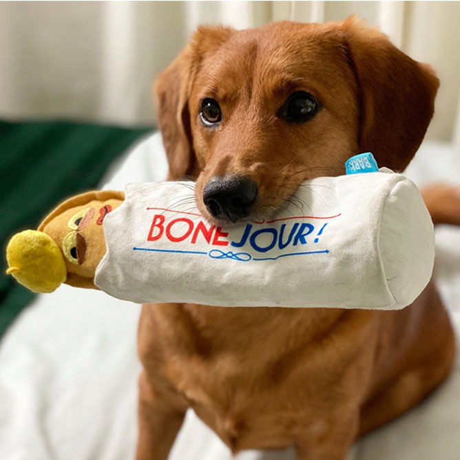 Hooch holding Bonejour Baguette