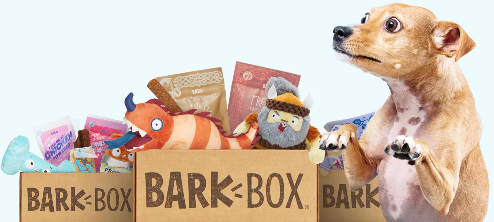 Barkbox Desktop Banner