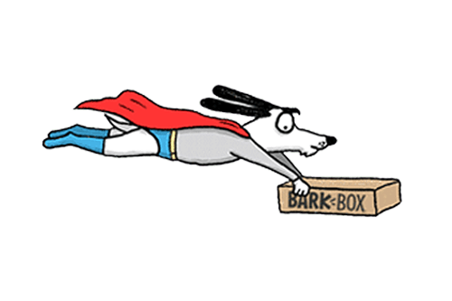 How Barkbox Works Image 2