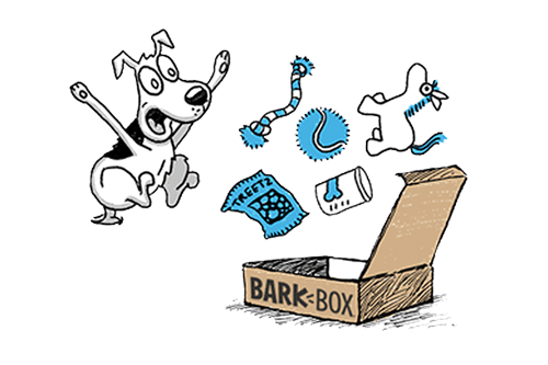 How Barkbox Works Image 3
