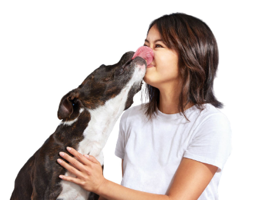 Human getting her face licked by a dog