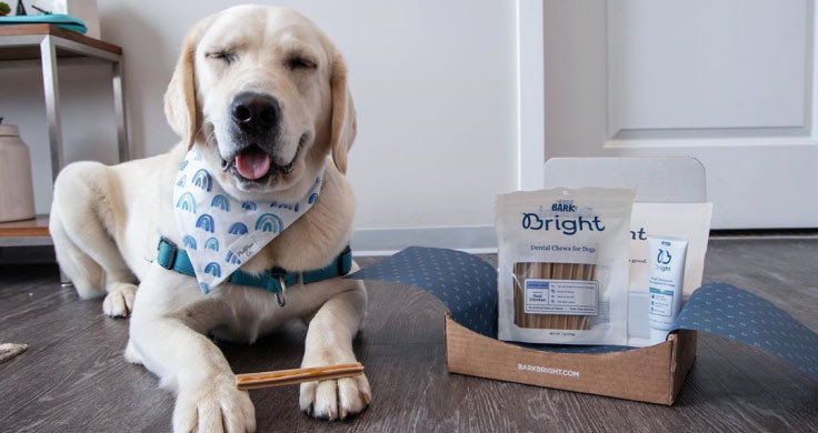 A lab posing with a Bright Dental kit