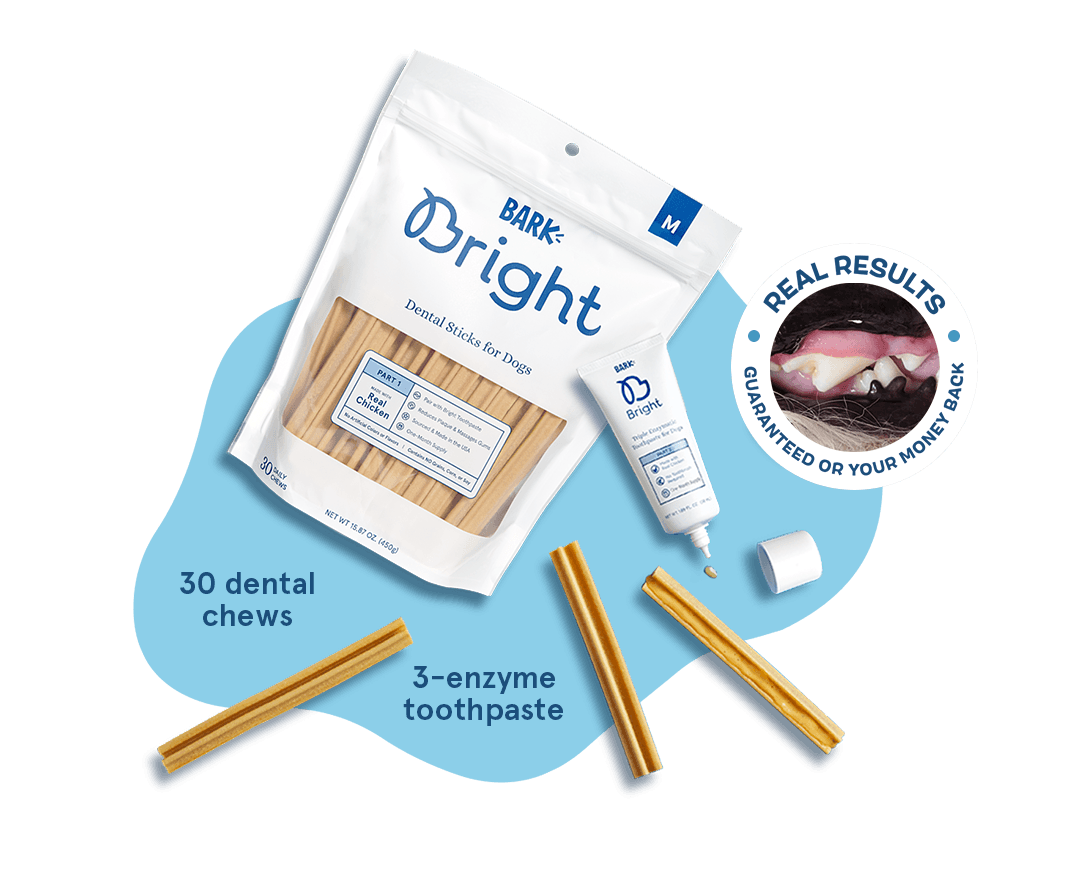 Bright Dental chews and toothpaste
