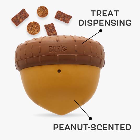 Peanut Scented, treat dispensing, Super Chewer Acorn toy